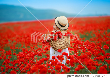 Rear view of a woman in a field with red poppies Rear view of a woman in a field with red poppies 74981738