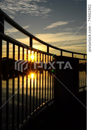 In the morning sun 74982902