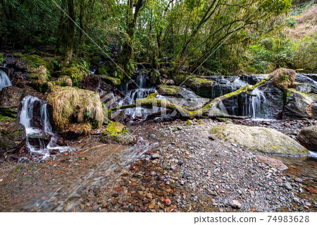 Scenery of a waterfall flowing down the clear stream Kikuchi Gorge in winter Scenery of a waterfall flowing down the clear stream Kikuchi Gorge in winter 74983628