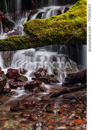 Scenery of a waterfall flowing down the clear stream Kikuchi Gorge in winter 74983643