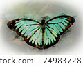watercolor Butterfly with bright turquoise and black colors 74983728
