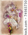 watercolor a close-up of a pink orchid flower 74983730