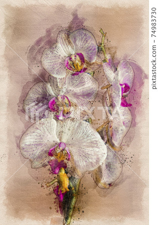 watercolor a close-up of a pink orchid flower watercolor a close-up of a pink orchid flower 74983730