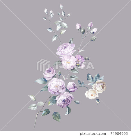 色彩豐富的花卉素材組合和設計元素 色彩豐富的花卉素材組合和設計元素 74984993