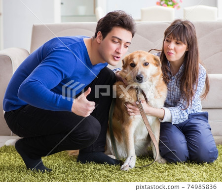 Happy family with golden retriever dog 74985836