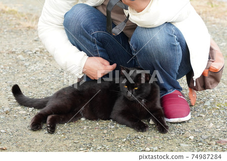 A black cat male, a stray cat who is good at spoiling for half a year after birth 74987284