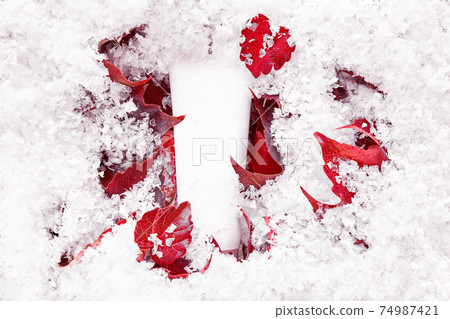 Beauty spa medical skincare, lotion product on red leaves. Mock up tube. Cosmetic packaging mockup under first snow background. Moisturizer, shampoo, hand cream, toothpaste. 74987421