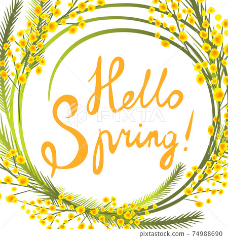 Postcard March 8. Mimosa branches. Hello Spring. Vector illustration 74988690
