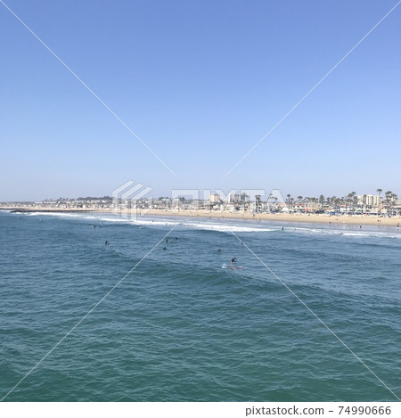 Newport beach Newport beach 74990666