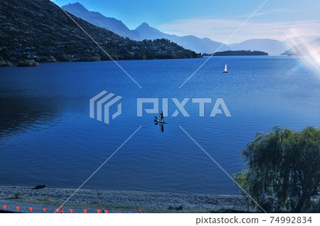 Pet dog and water board New Zealand Pet dog and water board New Zealand 74992834