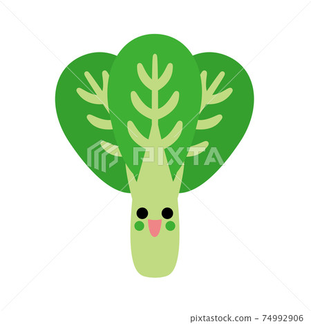 Vegetables / Japanese mustard spinach 74992906