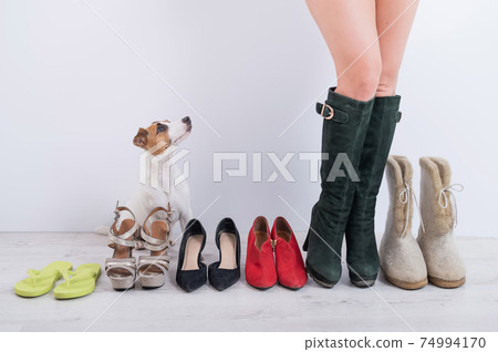 The concept of changing seasonal shoes. A woman tries on winter boots from her collection. Female feet with a row of shoes and a jack russell terrier dog 74994170