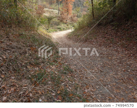 深秋的山路通向濕花花園 74994570