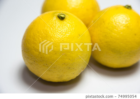 Hyuganatsu Konatsu orange material Hyuganatsu Konatsu orange material 74995054