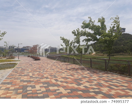 Leaving the park trail 74995377