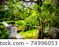 A beautiful garden that welcomes you at the exit of Abukuma Caves 74996053