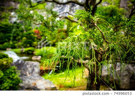 A beautiful garden that welcomes you at the exit of Abukuma Caves 74996053