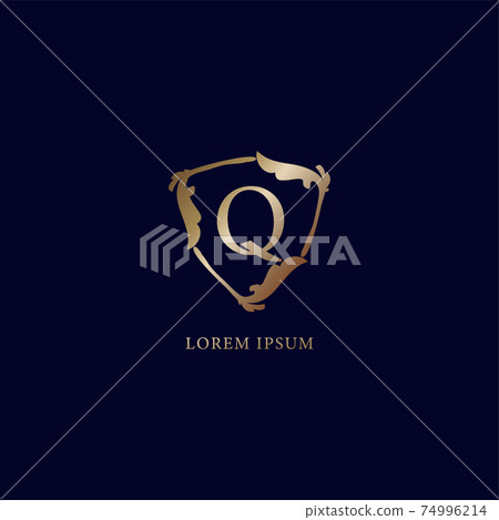 Letter Q Alphabetic logo design template isolated on navy blue backgroud. Decorative floral shield sign illustration. Luxury metalic gold security logo concept. 74996214