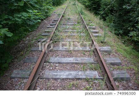 Abandoned railway in the forest 74996300
