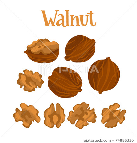 Healthy nutrition product. Walnut whole and half nuts. 74996330