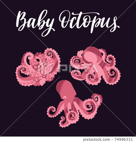 Seafood healthy nutrition product. Fresh and tasty baby octopuses. 74996331