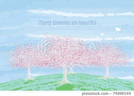 Landscape of the earth where cherry blossoms bloom 74996549