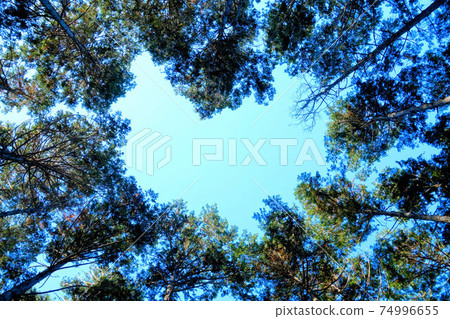 當我從山路上看天空時，它的心形消失了 74996655