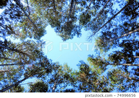 When I looked at the sky from the mountain road, it was missing in a heart shape 74996656