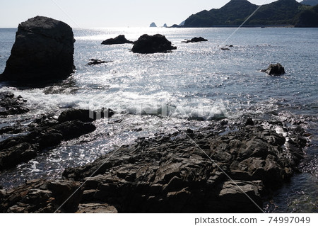 Reef in Tainohama, Yuki Town, Tokushima 74997049