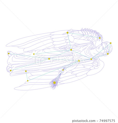 88 Constellation Series A-Constellation picture and constellation line on white background-Virgo 88 Constellation Series A-Constellation picture and constellation line on white background-Virgo 74997575