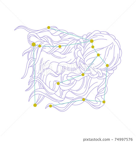 88星座系列A星座圖片和星座線在白色背景上-科馬·貝倫尼斯（Coma Berenices） 74997576