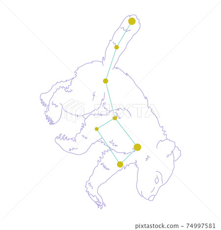 88 Constellation Series A-Constellation picture and constellation line on white background-Ursa Minor 74997581