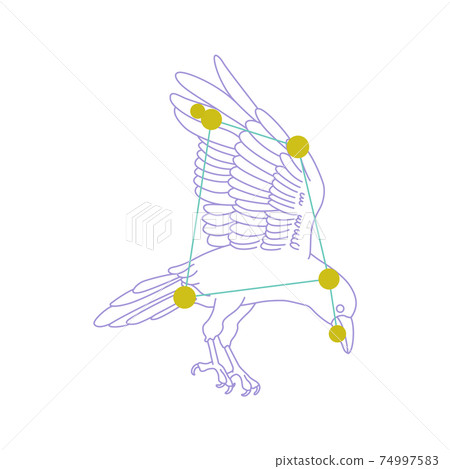 88 Constellation Series A-Constellation picture and constellation line on white background-Corvus 88 Constellation Series A-Constellation picture and constellation line on white background-Corvus 74997583