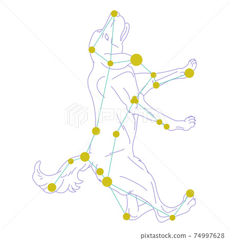 88星座系列A星座圖片和星座線在白色背景上-大犬座 88星座系列A星座圖片和星座線在白色背景上-大犬座 74997628