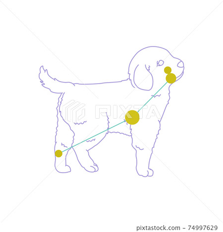 88 Constellation Series A-Constellation picture and constellation line on white background-Canis Minor 74997629