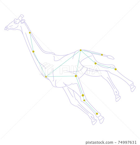 88星座系列A星座圖片和星座線在白色背景上 88星座系列A星座圖片和星座線在白色背景上 74997631
