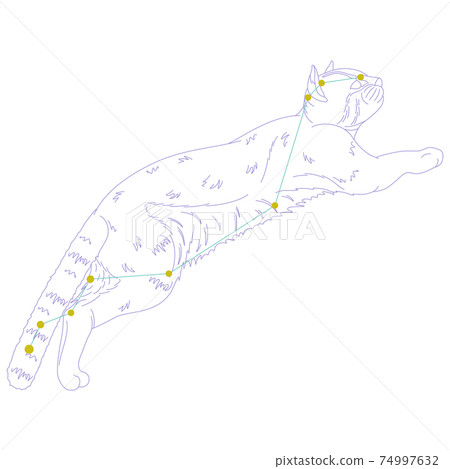 88 Constellation Series A-Constellation picture and constellation line on white background-Lynx 74997632