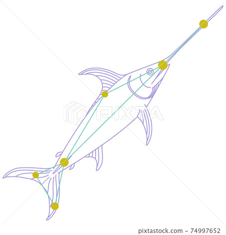 88 Constellation Series A-Constellation picture and constellation line on white background-Dorado 74997652