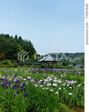 花園季節 74997689