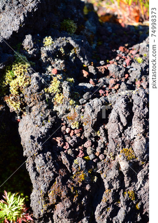 Object of worship and source of art-Mt. Fuji 5th station surface 74998373