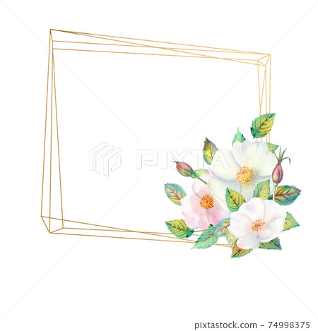 Flowers of white rose hips, red fruits, green leaves, the composition in a geometric Golden frame. Flower poster, invitation. Watercolor compositions for the design of greeting cards or invitations. Flowers of white rose hips, red fruits, green leaves, the composition in a geometric Golden frame. Flower poster, invitation. Watercolor compositions for the design of greeting cards or invitations. 74998375