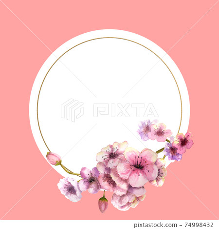 Cherry blossom, Sakura Branch with pink flowers in gold frame with beautiful pink background. Image of spring. Frame. Watercolor illustration. Design element. Round frame 74998432