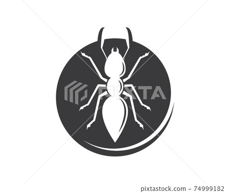 Ant icon vector illustration design 74999182