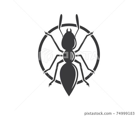 Ant icon vector illustration design 74999183