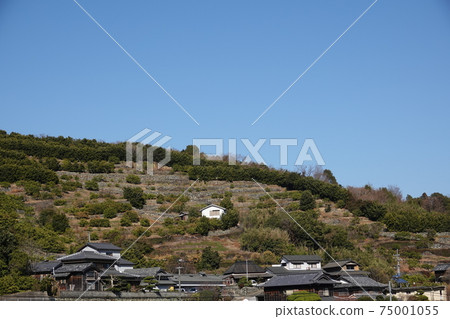 德島縣德島市Hata-cho的Sky村 75001055