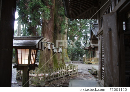Takachiho Shrine 75001120
