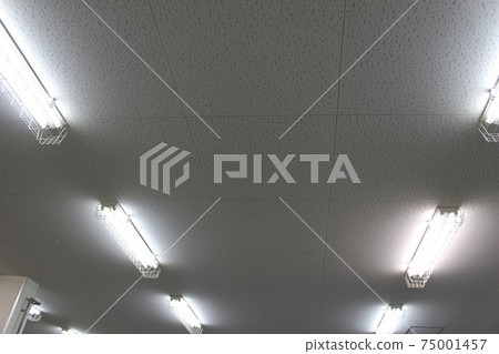 Fluorescent lights and ceiling Fluorescent lights and ceiling 75001457