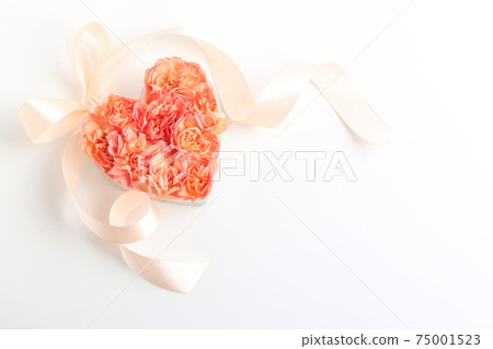 Heart shaped carnation Heart shaped carnation 75001523