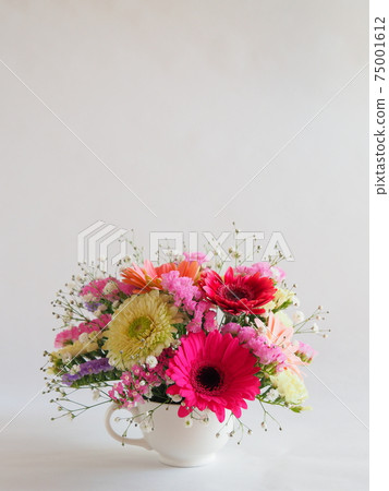Gerbera and statice flower arrangement 75001612
