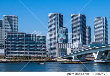 塔共管公寓和大橋豐洲等日本東京的城市景觀 塔共管公寓和大橋豐洲等日本東京的城市景觀 75002572